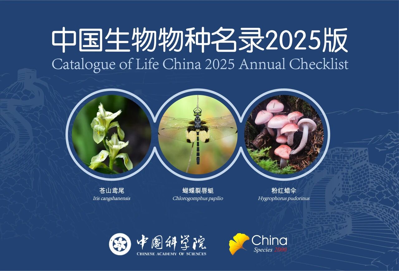 菌物名录